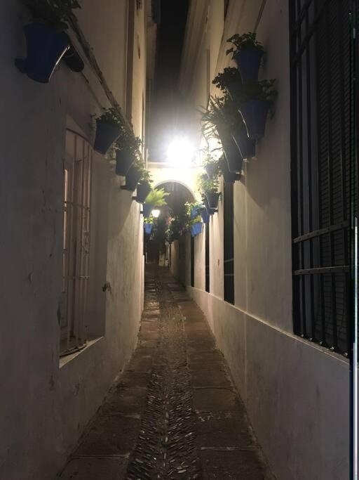 Apartamento El Templo Córdoba Exteriör bild